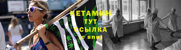 дурь Сосновый Бор