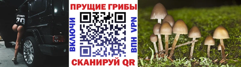 Галлюциногенные грибы Cubensis  Мариинский Посад 